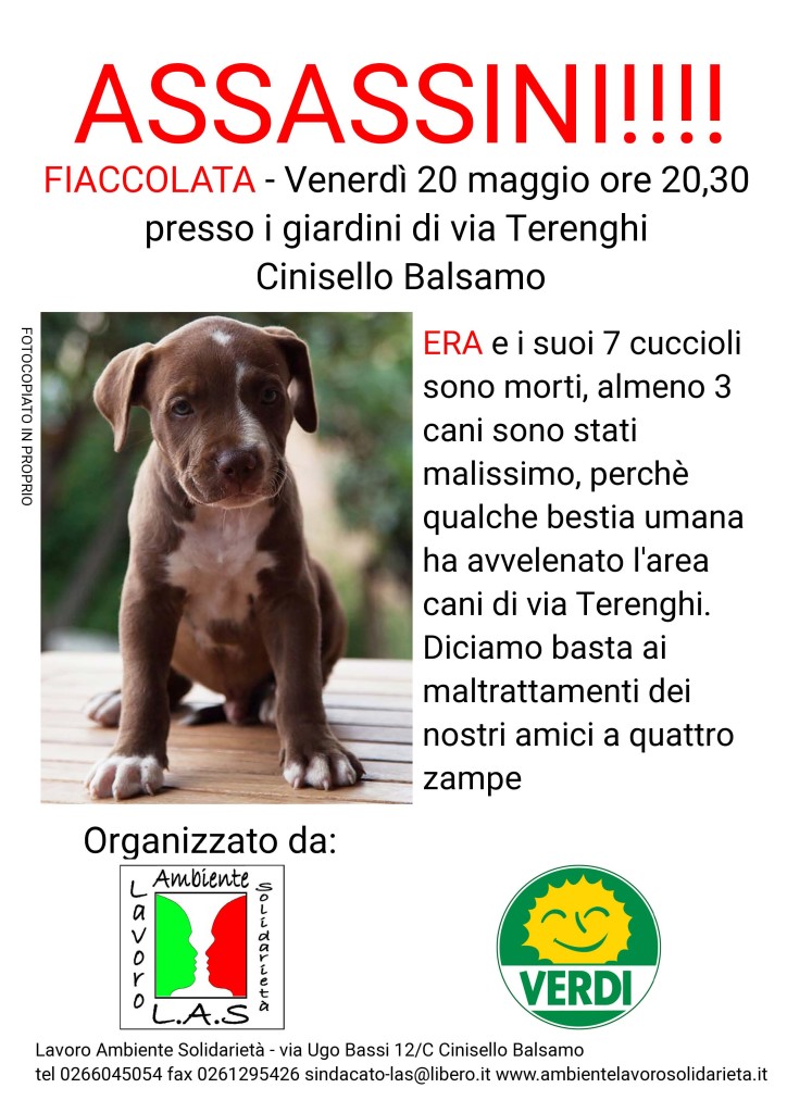 Fiaccolata